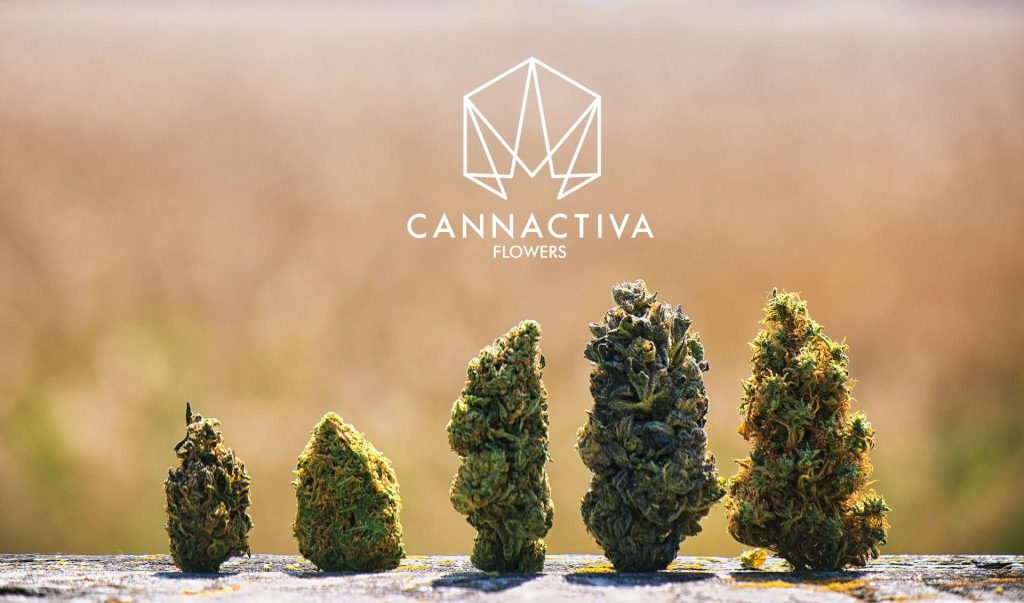 Beste CBD bloemen Europa