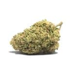 CBD lemon haze bud