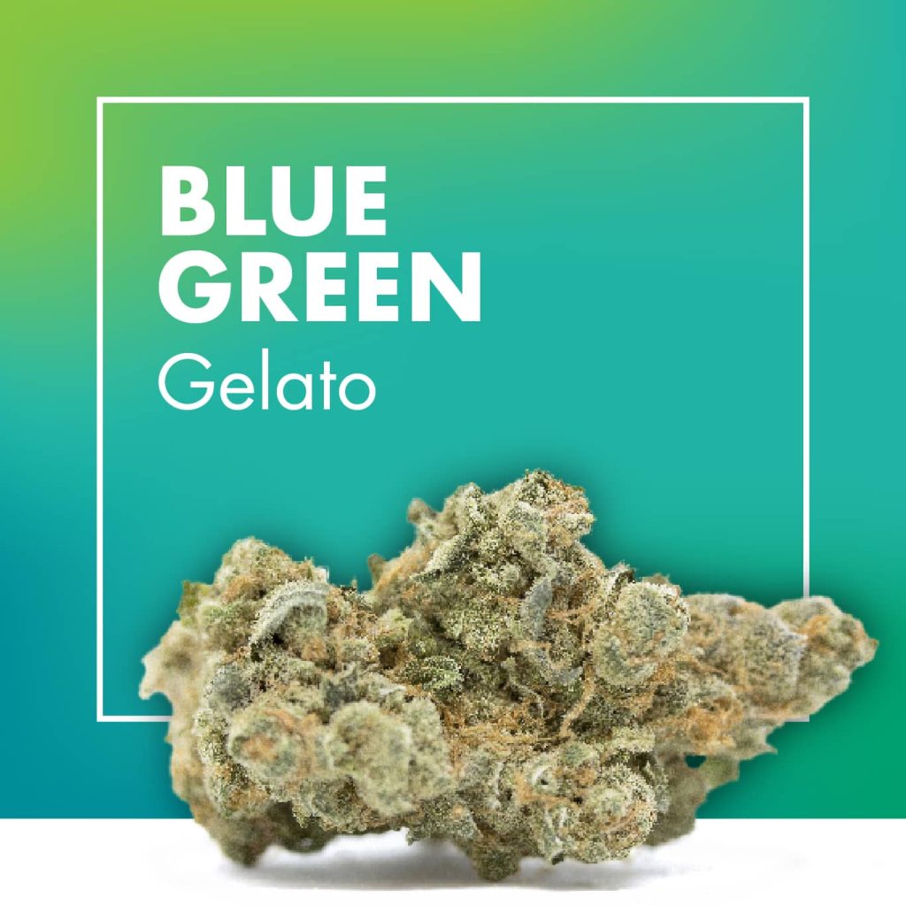 Gelato CBD