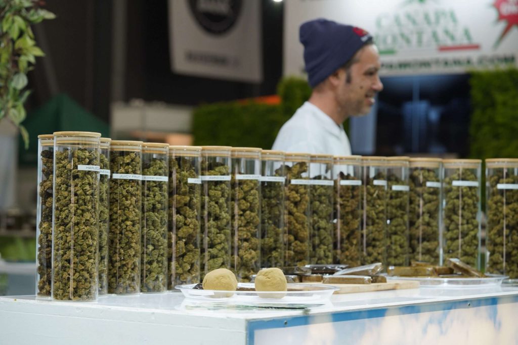 Marihuana Tschechische Republik