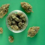 Secado y curado del cannabis