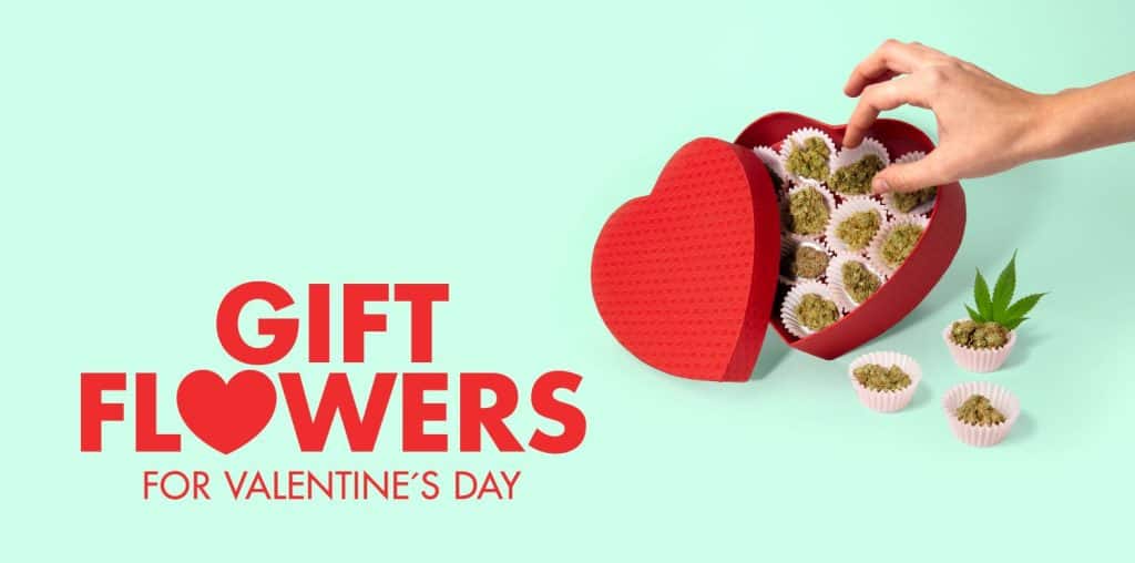 Valentines Day Gift CBD Flowers