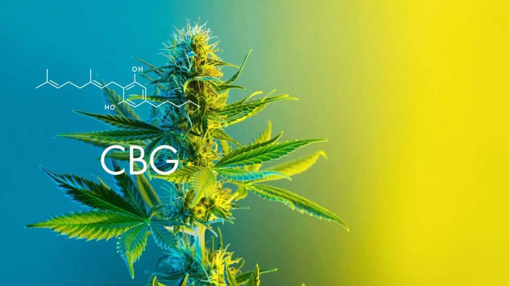 Molécule et structure chimique du CBG ou cannabigérol