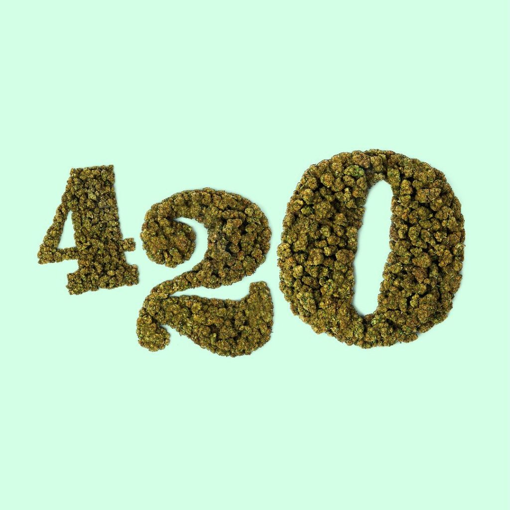 Copyright Cannactiva