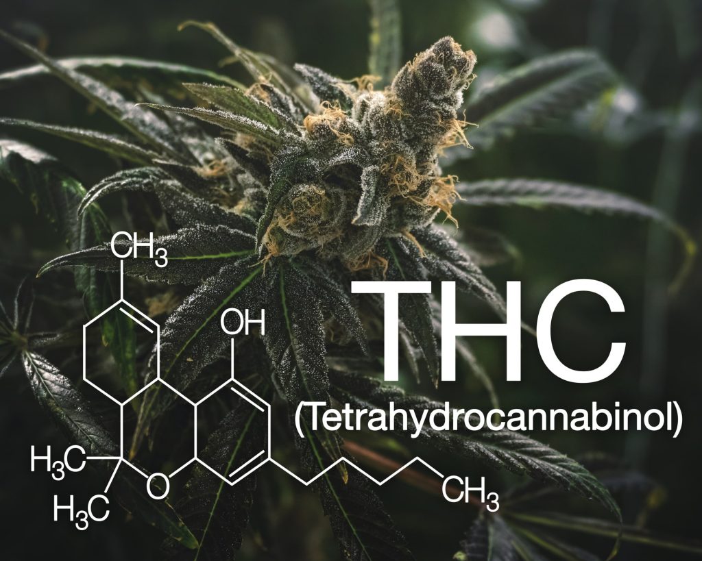 Molécule de THC
