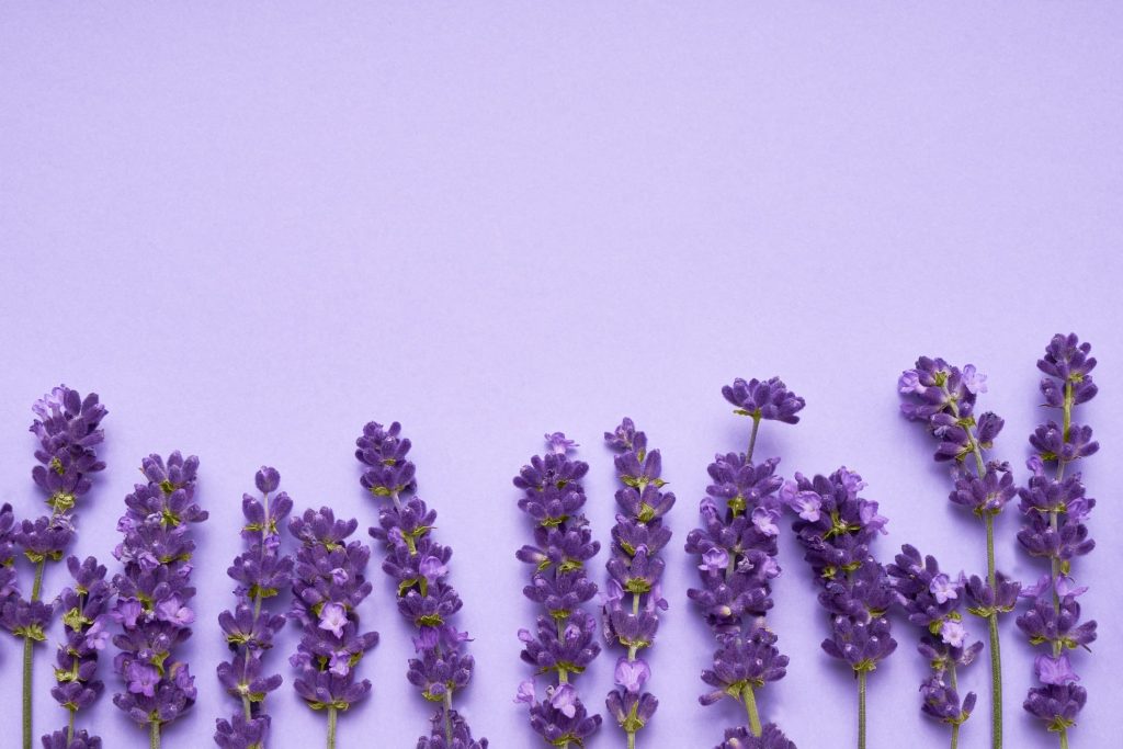 Linalol, terpeno de lavanda na canábis