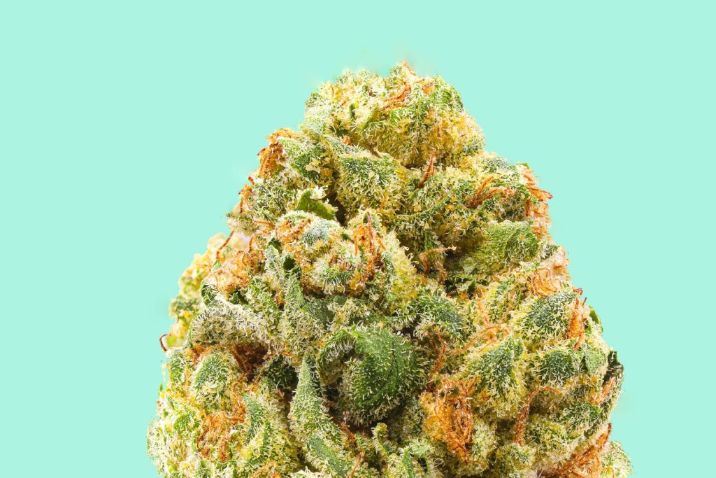 Wirkung von Terpenen