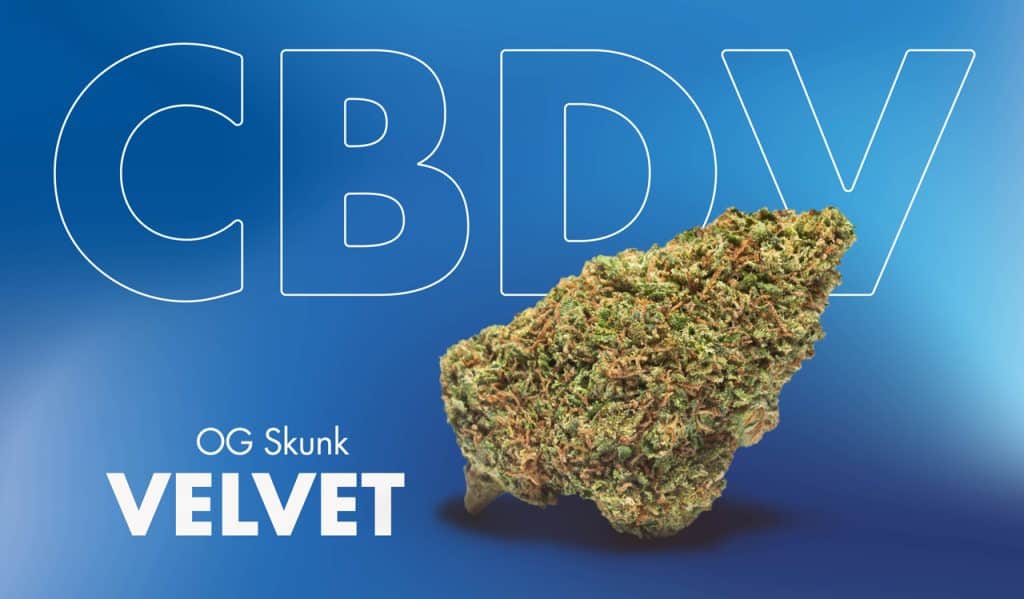 Flor de CBD CBDV Velvet OG Skunk