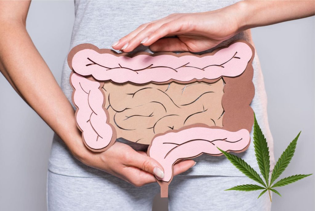 Óleo de CBD para doenças intestinais e digestivas
