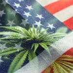 Estados Unidos y el cannabis
