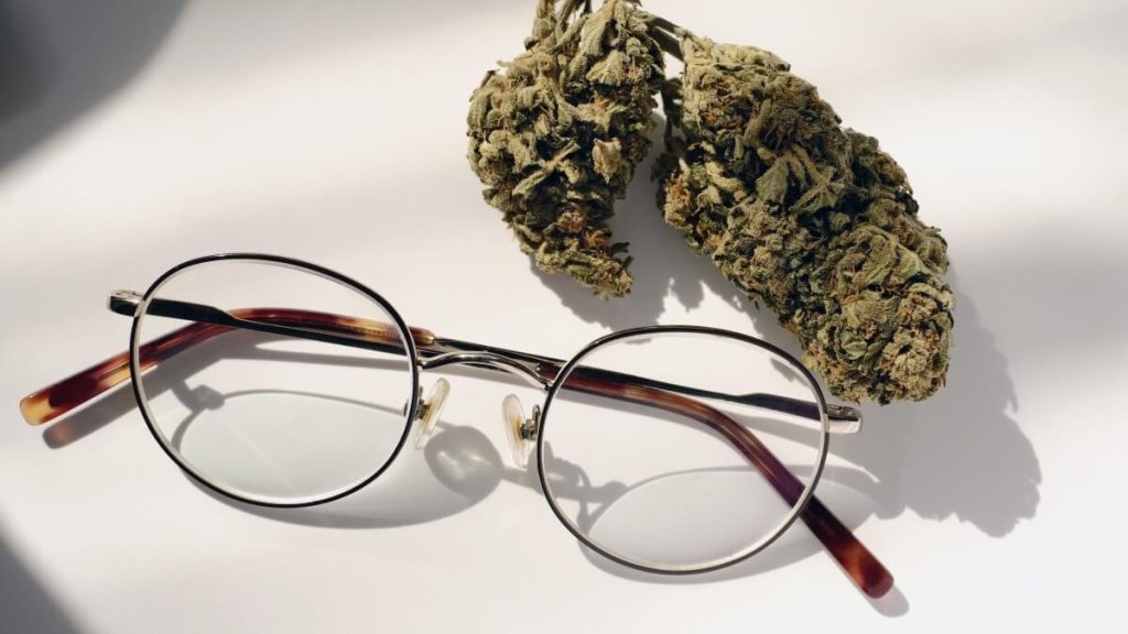 Cannabis e CBD para o glaucoma