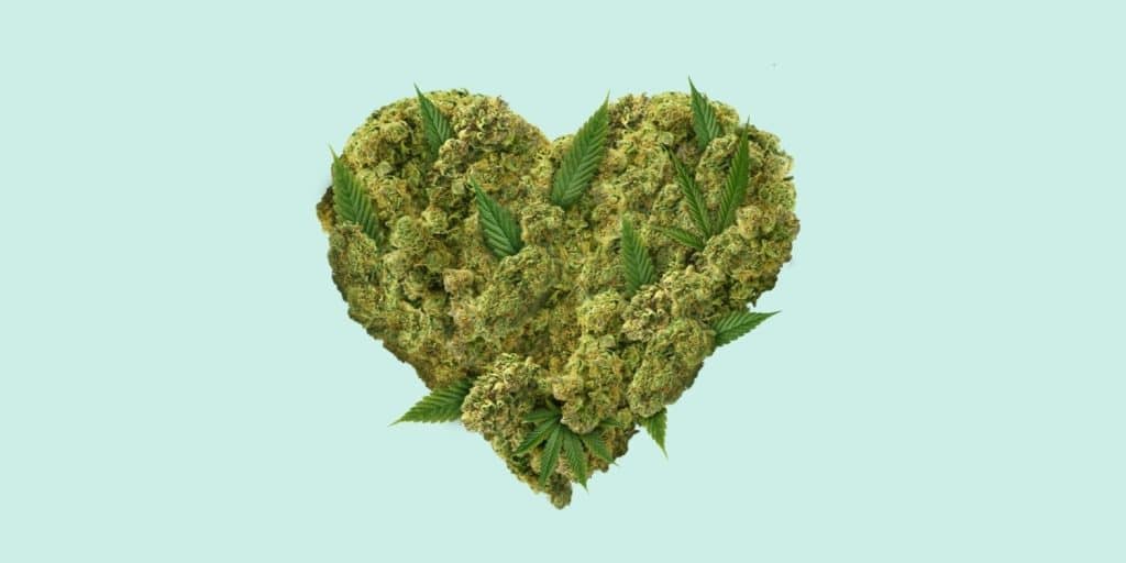 Herz aus CBD Cannabisblüten